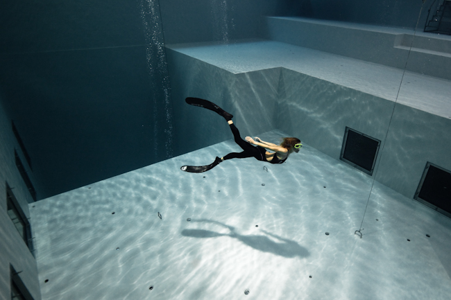 Nemo33